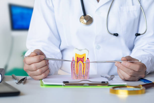 Best Emergency Gum Treatment in Fairmont, MN